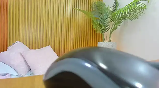 nahia 13 online show from February 2025 02:57:02 PM