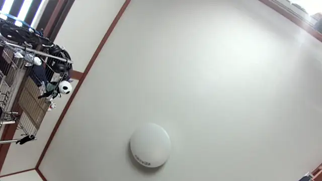 Snapshot of tuki_fu chatting on December 2024 03:10:02 AM tuki fu online show from December 2024 03:10:02 AM