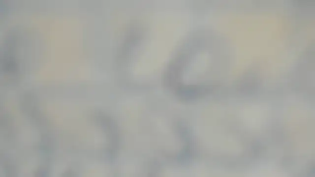 elis gabbi online show from September 2025 01:00:01 PM