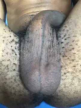 the bigwc online show from December 2024 01:22:02 PM