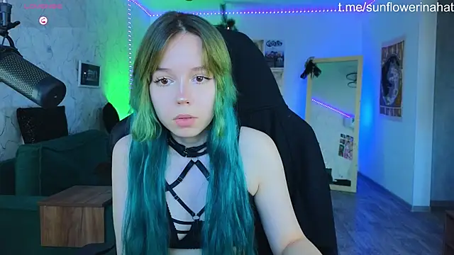 812sunflowerinahat online show from December 2024 09:29:02 AM