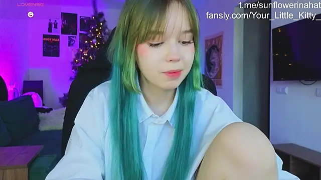 812sunflowerinahat online show from December 2024 09:32:02 AM