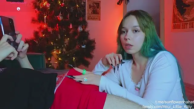 812sunflowerinahat online show from December 2024 08:26:02 PM