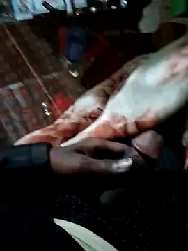 Antor1234 online show from December 2024 06:37:02 PM