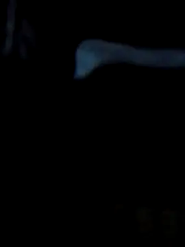 Antor1234 online show from February 2025 05:07:02 PM