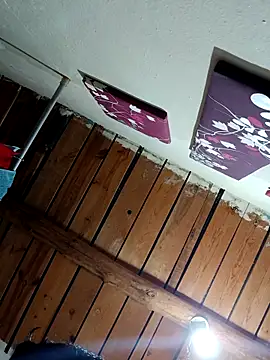 Hot796 online show from March 2026 07:55:02 AM