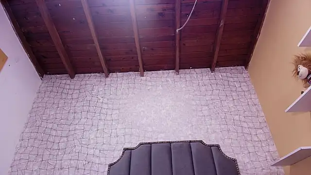 Snapshot of luce_williams chatting on February 2025 07:14:01 PM luce williams online show from February 2025 07:14:01 PM