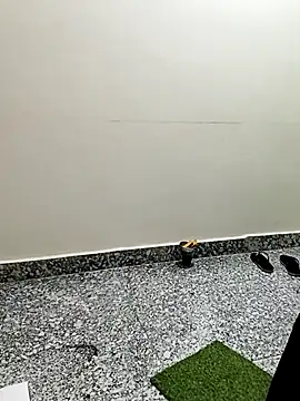 Saroj-Shah online show from February 2026 03:15:01 AM