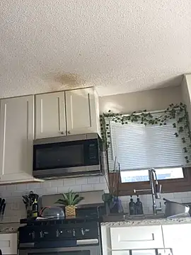 spicysugar74 online show from February 2026 08:23:01 PM