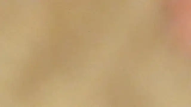 AraCopple online show from December 2024 03:45:01 AM