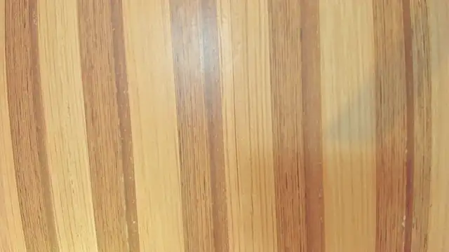 Taylor  cooper online show from February 2026 06:38:01 PM