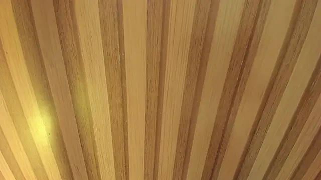 Taylor  cooper online show from April 2026 06:23:01 PM