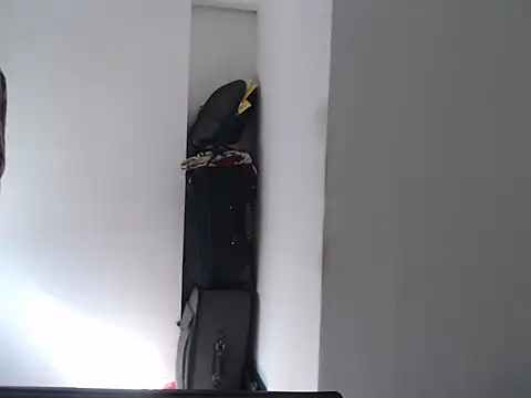 Mastertopdome online show from February 2026 12:43:02 PM