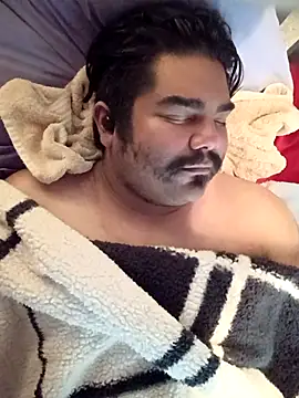 Snapshot of Brickstash chatting on October 2025 04:36:02 PM Brickstash online show from October 2025 04:36:02 PM