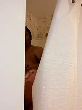 Brickstash online show from November 2025 12:49:02 PM