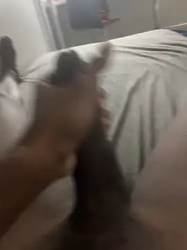 Snapshot of arrete2025 chatting on February 2025 01:08:02 PM arrete2025 online show from February 2025 01:08:02 PM