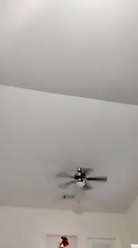 Snapshot of Playmate86 chatting on December 2024 04:09:02 AM Playmate86 online show from December 2024 04:09:02 AM