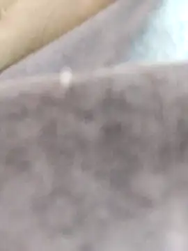 Snapshot of dahana0 chatting on March 2025 12:36:02 PM dahana0 online show from March 2025 12:36:02 PM