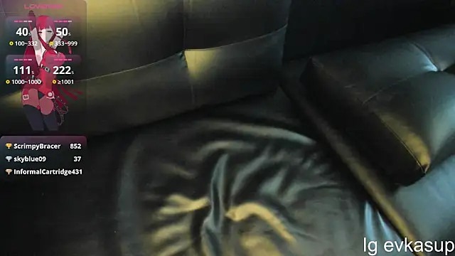 Snapshot of evkasup chatting on February 2025 12:12:01 PM evkasup online show from February 2025 12:12:01 PM