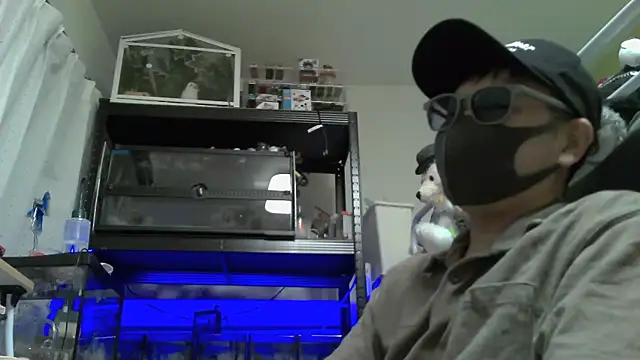 Snapshot of Owl1216 chatting on December 2024 02:37:01 PM Owl1216 online show from December 2024 02:37:01 PM