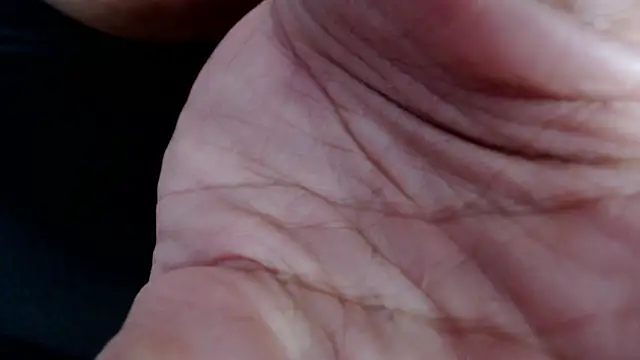 liadivina online show from March 2025 11:44:02 AM