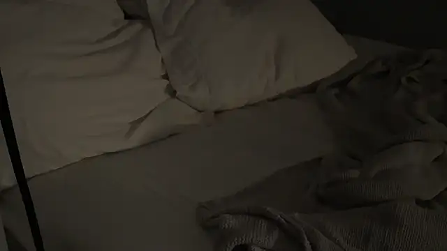 Snapshot of Dylansd chatting on December 2024 10:14:02 AM Dylansd online show from December 2024 10:14:02 AM