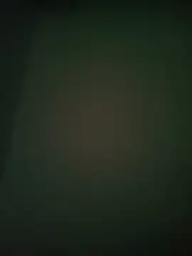 Snapshot of Rani_devi88 chatting on February 2025 10:05:01 AM Rani devi88 online show from February 2025 10:05:01 AM