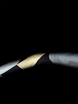 Snapshot of delhiboyooo chatting on January 2025 07:55:02 AM delhiboyooo online show from January 2025 07:55:02 AM