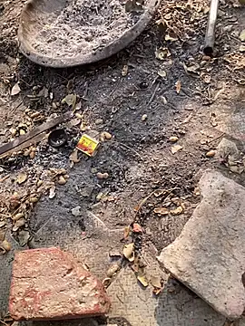 satrr xxx online show from November 2025 04:58:02 AM