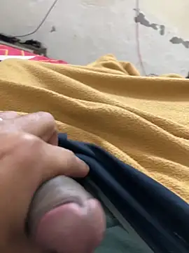 satrr xxx online show from November 2025 04:48:02 AM