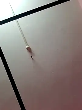 Lexi Baby  online show from December 2024 10:39:02 AM