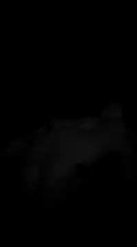 Deniell-01 online show from March 2025 10:20:01 PM