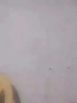 Ramya-Lovely online show from December 2024 06:52:01 PM