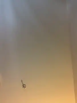 themasteer69 online show from February 2026 08:36:02 PM