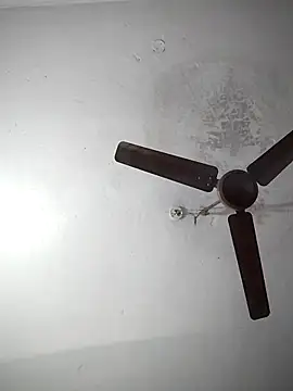 sana14 online show from December 2025 07:04:02 AM