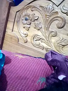 sana14 online show from March 2026 03:39:01 PM