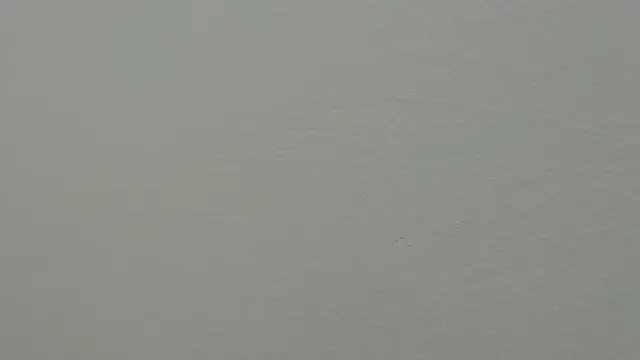 julz 03 online show from March 2025 04:22:02 PM