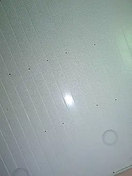 Snapshot of fatpussysasha chatting on January 2025 07:11:01 PM fatpussysasha online show from January 2025 07:11:01 PM