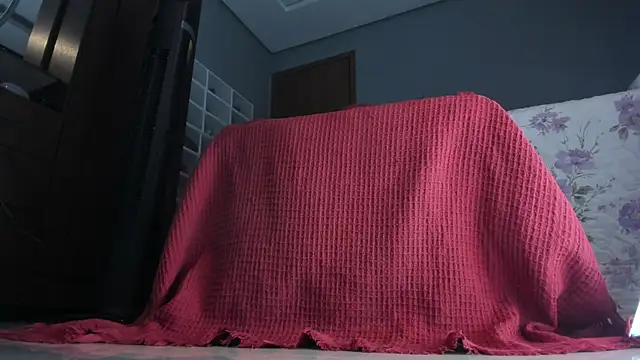 sherilkwang19tv online show from January 2026 12:49:02 AM