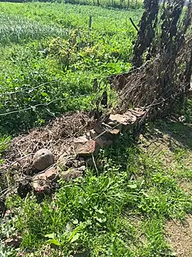 Snapshot of poision51 chatting on February 2025 07:55:01 AM poision51 online show from February 2025 07:55:01 AM