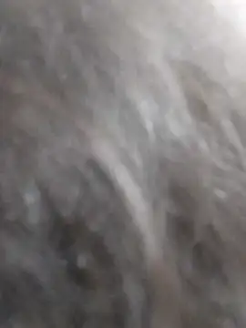 kobita Mohali online show from September 2025 08:13:02 AM