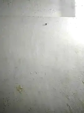 alansteer online show from December 2024 02:06:02 PM