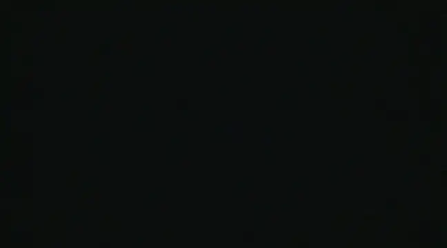 alansteer online show from December 2024 10:49:02 AM