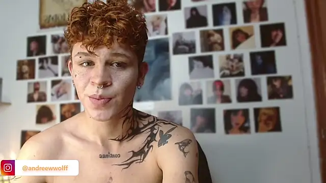 Snapshot of andrewWolffman chatting on December 2024 11:42:02 PM andrewWolffman online show from December 2024 11:42:02 PM