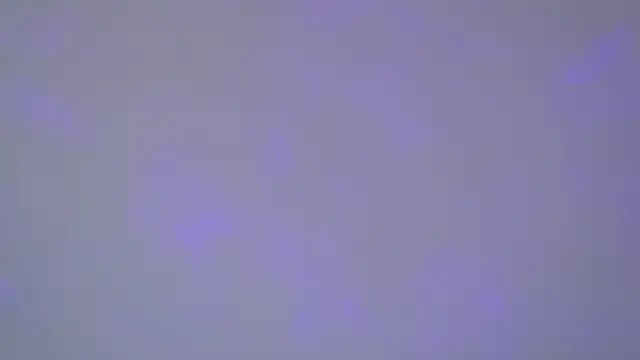 Snapshot of SelinSwarovski chatting on November 2025 05:09:01 AM SelinSwarovski online show from November 2025 05:09:01 AM