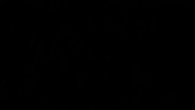 awesome anna online show from March 2025 02:46:02 PM