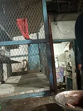 Snapshot of Skinny_Bigass_23 chatting on February 2025 02:59:02 PM Skinny Bigass 23 online show from February 2025 02:59:02 PM