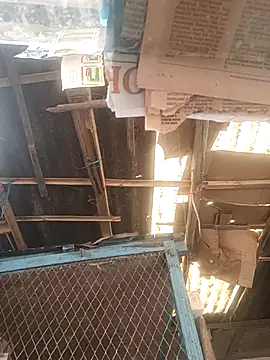 Skinny Bigass 23 online show from December 2025 07:57:02 AM