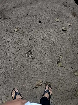 faaseel online show from February 2025 06:56:02 PM