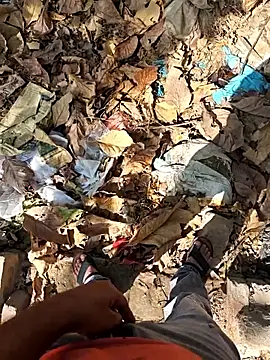 faaseel online show from April 2026 09:41:02 AM